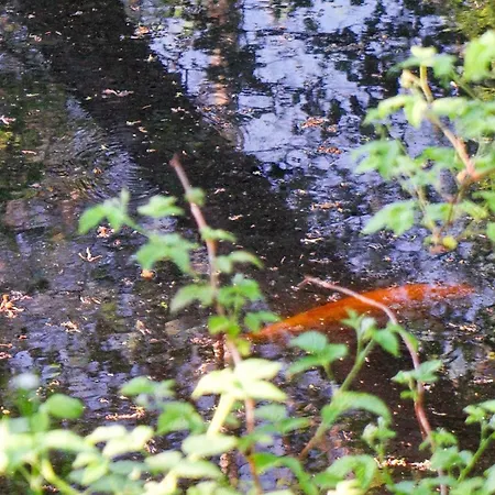 7 Person In Hornbaek-by Traum * Hornbæk