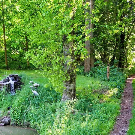 7 Person In Hornbaek-by Traum *