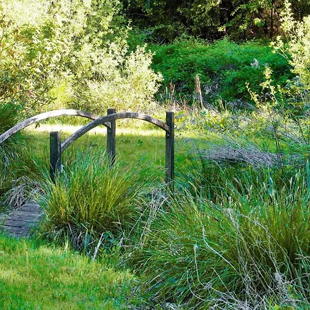 7 Person In Hornbaek-by Traum *