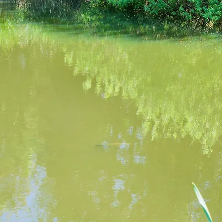 Casa vacanze 7 Person In Hornbaek-by Traum