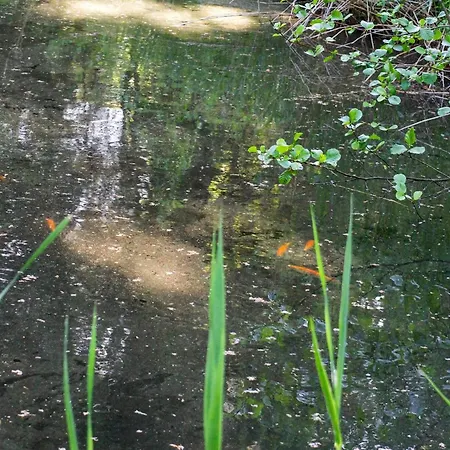 Casa vacanze 7 Person In Hornbaek-by Traum *